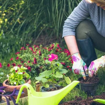 Keep Your Garden Healthy