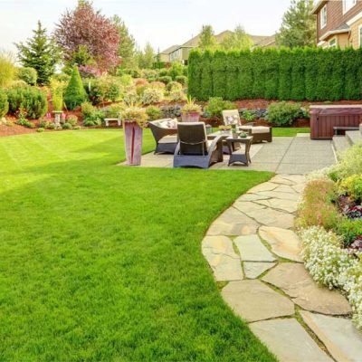 Keeping Your Backyard Pest-Free