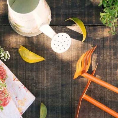 Spring is an amazing time to tackle some DIY home improvement projects anywhere, but especially in Austin, TX, where the weather is warming up and you and your loved ones are getting ready for a hot summer. Whether you're looking to increase your home's value, improve functionality, or just refresh its appearance, there are plenty of projects you can take on that might be easier and cheaper than you think! In this article, we will explore some DIY home improvement projects you can do in your Austin home this spring. 1.Landscaping One of the most effective ways to boost your home's curb appeal (and your home’s value) is by improving your landscaping. This can be as simple as trimming your hedges and mowing your lawn, or more involved projects such as adding new plants or creating a garden bed. Austin's warm spring weather is a perfect climate to get outside and give your outdoor spaces some love. If you’re thinking of selling your Austin home, nothing beats a first impression, and an update on your curb appeal can do just that. 2.Painting A fresh coat of paint can completely transform the look and feel of a room or the outside of your home. Whether you're painting an accent wall, kitchen cabinets, or touching up outdoor paint, painting is a DIY project that can be done very quickly and inexpensively, by yourself or with friends! 3.Updating Fixtures Updating your fixtures is another simple way to improve the look, and possibly the functionality of your home. This can include replacing old light fixtures, changing out cabinet knobs and handles, or upgrading your faucets and showerheads. If you’re looking to update your bathroom, check out the HomeLight article DIY Bathroom Remodeling Tips: A Little Help from the Pros. Small changes and updates can make a big impact on the overall aesthetic of your home. 4.Decluttering and Organizing Nothing is more satisfying than a deep dive into spring cleaning, and it can even improve your mental health! Decluttering and organizing your space is proven to reduce stress and improve productivity. Start by tackling one room at a time, getting rid of any items you no longer need, and finding new storage solutions to keep everything organized. 5.Installing Smart Home Devices If you're looking to upgrade your home's technology, installing smart home devices is a great DIY project to consider. This can include things like smart thermostats, door locks, and lighting systems. As well as creating a new aesthetic appeal, these devices can help you save money on your energy bills and even improve your home's security. All of these DIY home improvement projects have the potential to improve your Austin, TX home this spring. Before starting any DIY project, it is important to do your research, plan out your project, and make sure you have the necessary tools, materials, and budget. After a plan is in place, it’s time to get to work on beautifying your home!