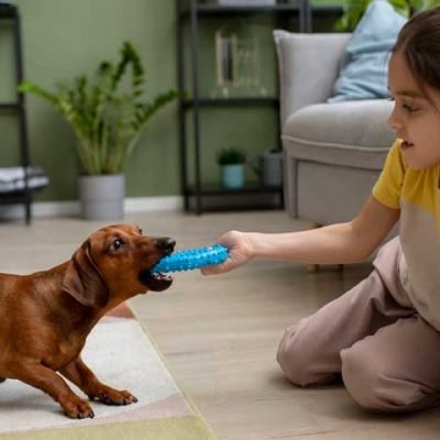 Does-Dog-Training-Actually-Produce-Results