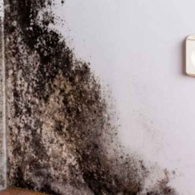 Manage-Moisture-&-Mold-on-Your-Property