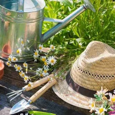 What-Tools-and-Resources-Can-Help-You-in-Planning-Your-Garden