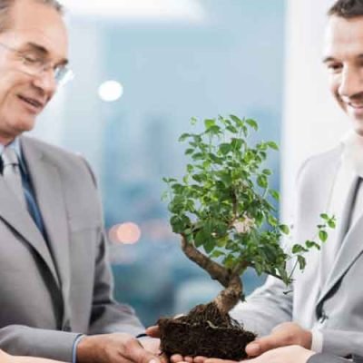 How Can Your Business Become More Eco-Friendly