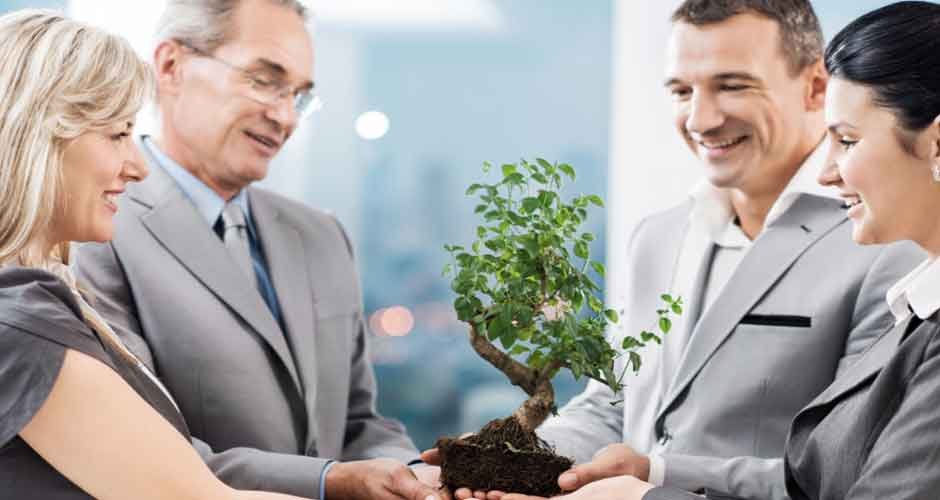 How Can Your Business Become More Eco-Friendly