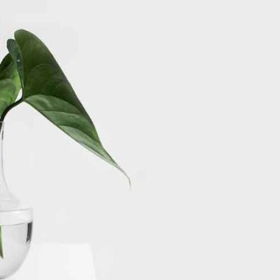 Join the Eco-Cleaning Movement for a Brighter, Cleaner Tomorrow
