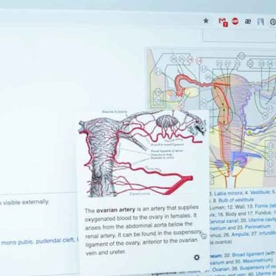 How-to-Navigate-Treatment-Options-for-Uterine-Fibroids
