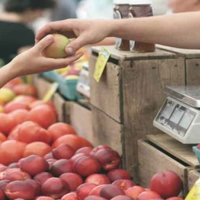 The-Entrepreneur's-Playbook