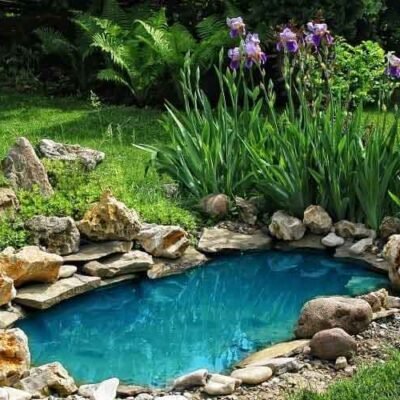 The-Beauty-and-Benefits-of-Garden-Ponds