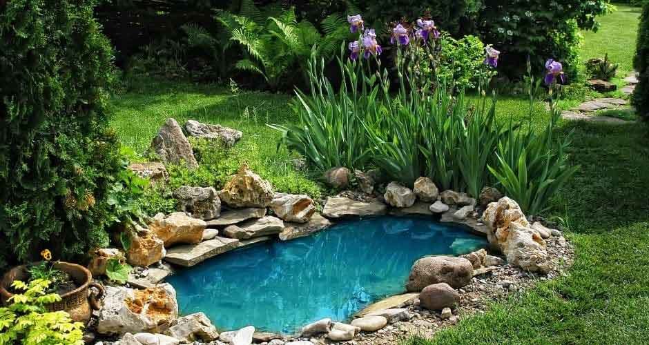 The-Beauty-and-Benefits-of-Garden-Ponds