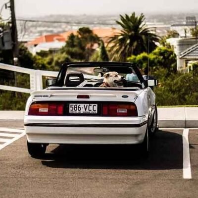 Tips-For-Keeping-Your-Parking-Lot-In-Good-Shape