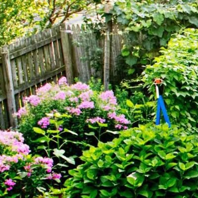 Considerations-for-Your-Garden-When-Living-Next-to-Nature