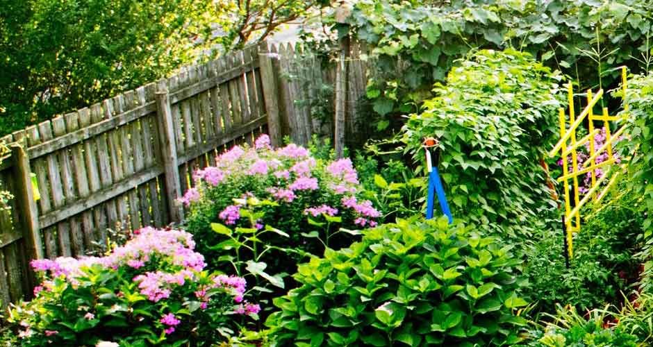 Considerations-for-Your-Garden-When-Living-Next-to-Nature