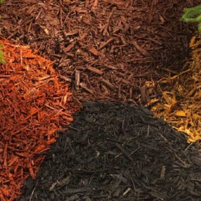 Why You Need Mulch & How to Get Delivery Services