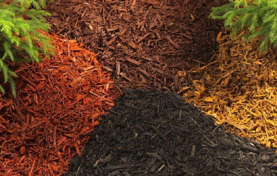 Why You Need Mulch & How to Get Delivery Services