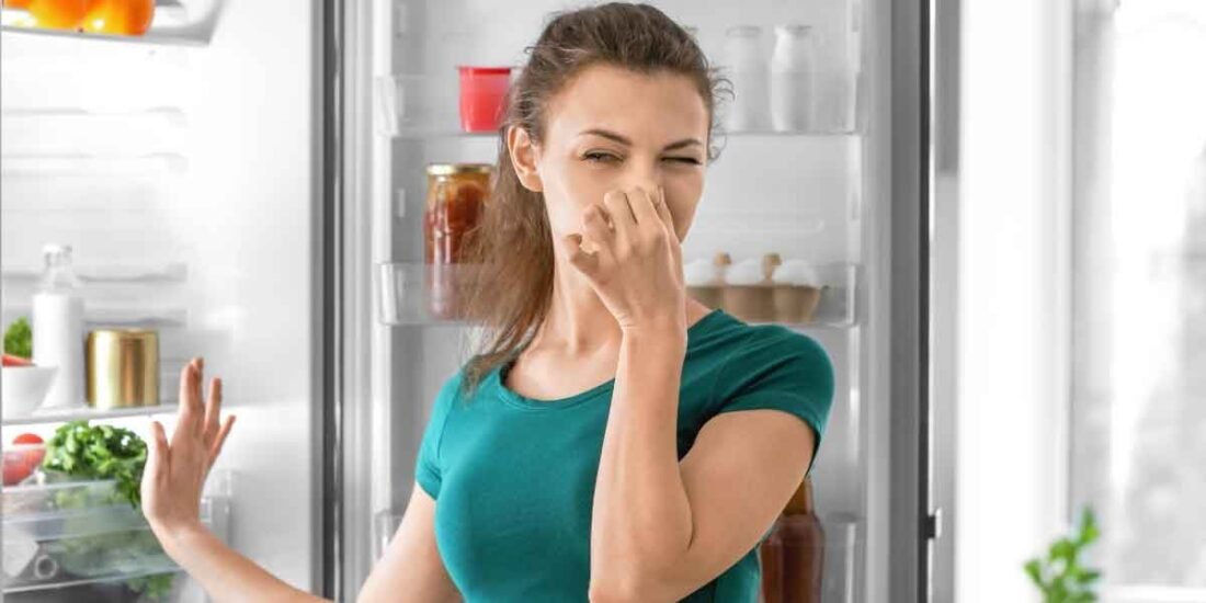 How-to-Maintain-Your-Refrigerator-for-Long-Lasting-Performance
