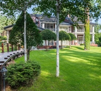 how-to-transform-a-patchy-yard-into-a-lush-green-s-1