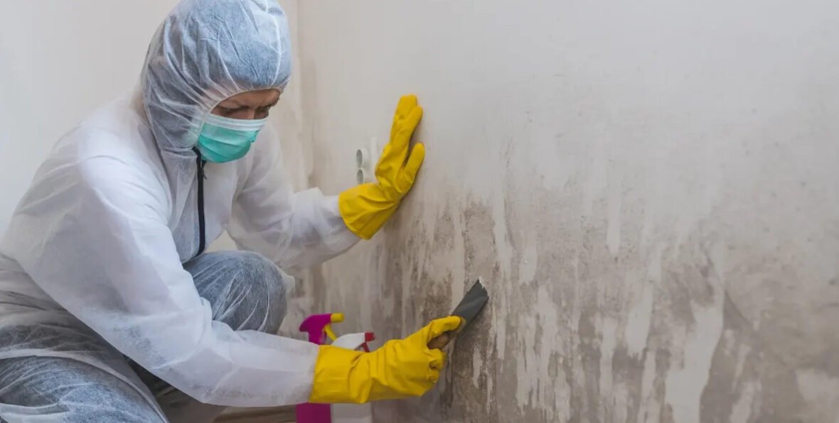 mold-in-your-basement-is-a-health-problem-not-just-1