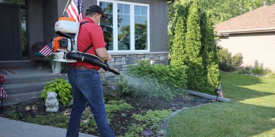 How-Seasonal-Weather-Changes-Influence-Termite-Movement-Around-Homes