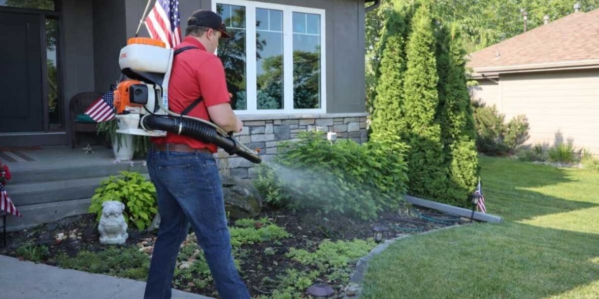 How-Seasonal-Weather-Changes-Influence-Termite-Movement-Around-Homes