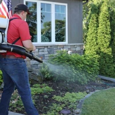 How-Seasonal-Weather-Changes-Influence-Termite-Movement-Around-Homes