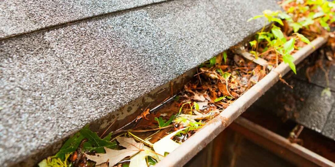 What Overflowing Gutters Are Really Telling You About Your Home