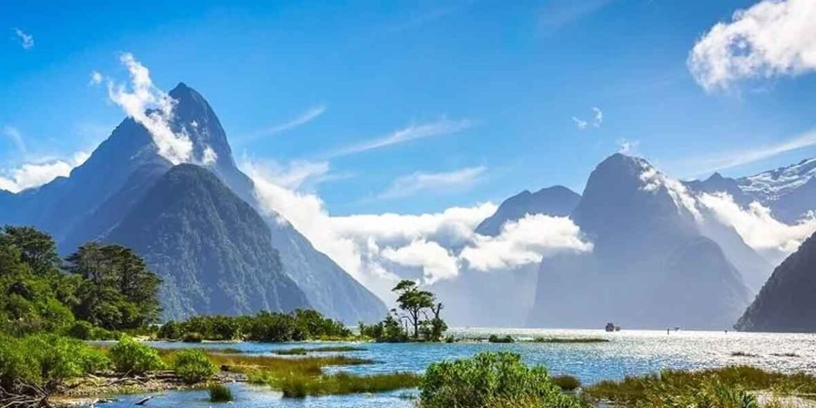 Small Details That Shape New Zealand Moves