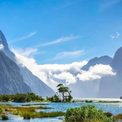 Small Details That Shape New Zealand Moves