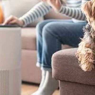 Indoor-Air-Quality-and-Health